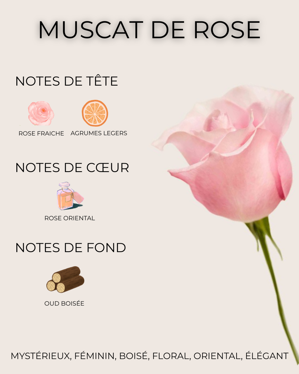Huile - Muscat de Rose