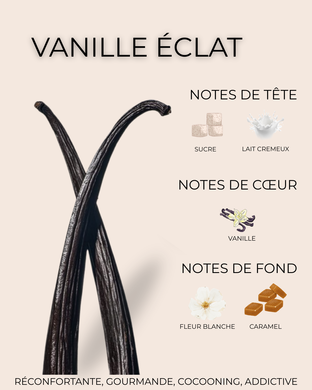 Huile - Vanille Éclat